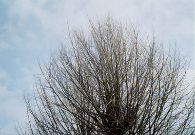b0008655_21555784.jpg