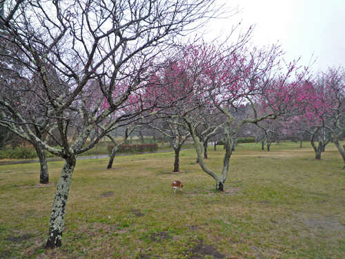 b0045357_1372130.jpg