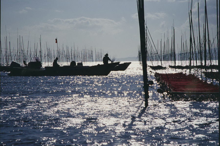 e0173358_21301616.jpg