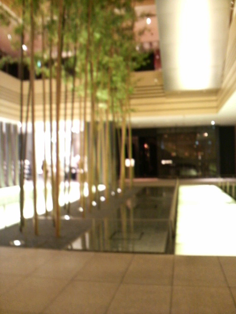 c0147261_229286.jpg
