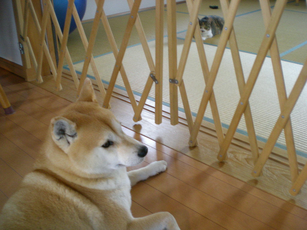 2009年3月2日(月)今日もファイト!_f0060461_20314643.jpg