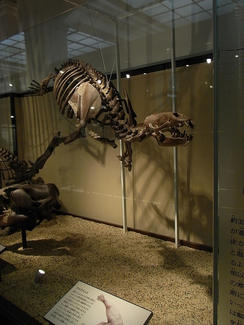 c0150963_2024157.jpg