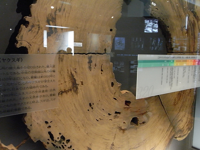 c0150963_2024185.jpg
