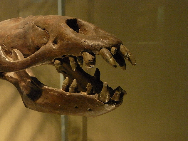 c0150963_20245995.jpg