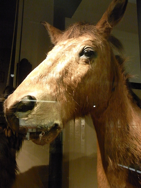 c0150963_20261668.jpg