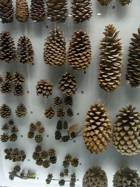 c0150963_20265211.jpg