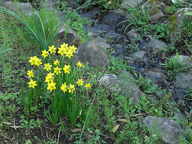 b0149867_20382190.jpg