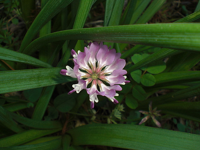 b0149867_20391681.jpg