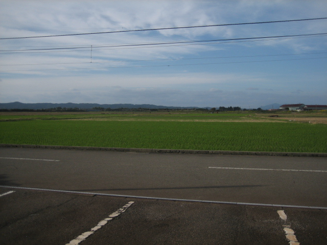 e0173670_133933.jpg