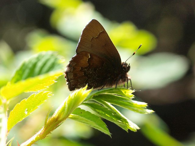 b0135573_16155226.jpg