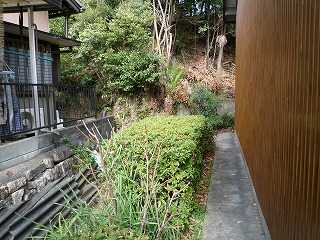 b0140276_9385548.jpg