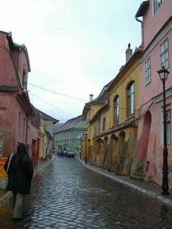 e0139882_2143355.jpg