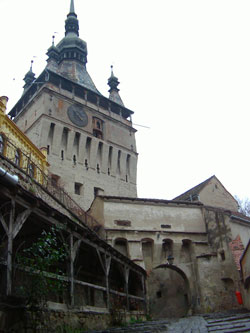 e0139882_21461024.jpg