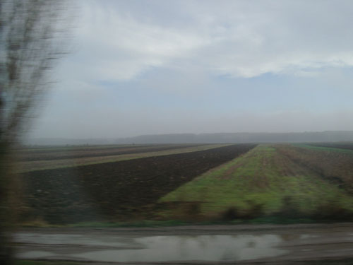 e0139882_8474433.jpg