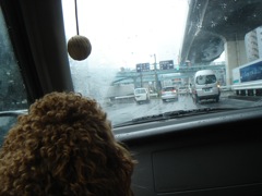 2009年2月27日 今日は上京 _b0098584_13363986.jpg