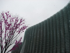 2009年2月27日 今日は上京 _b0098584_13365643.jpg