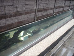 2009年2月27日 今日は上京 _b0098584_14124725.jpg