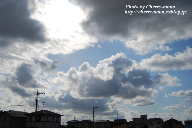 c0156789_2141413.jpg