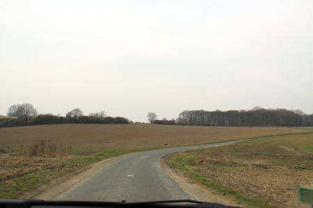 c0090198_454080.jpg