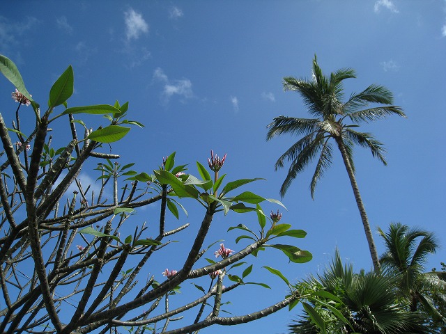 ラニカイで見た景色_f0174198_10592421.jpg