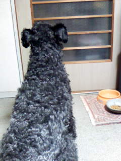 c0037701_23271180.jpg