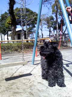 c0037701_2329399.jpg