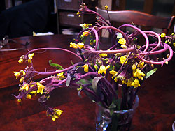 e0118904_2149226.jpg