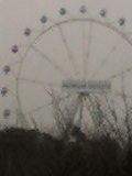 f0195904_20191238.jpg
