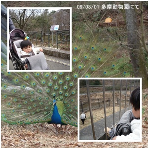 今日は桃の節句_c0051105_18233741.jpg