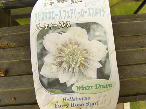 c0105306_10353330.jpg