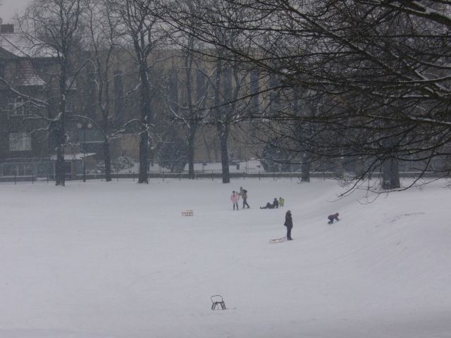 e0039206_34052.jpg