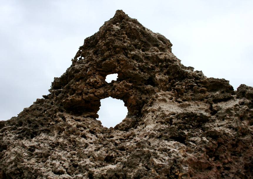 e0003910_20491577.jpg