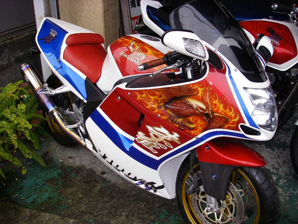 CBR1100XX Bunny flare完成！_f0115410_16211948.jpg