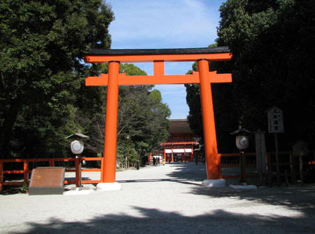 下鴨神社ー紅梅_e0048413_17585920.jpg