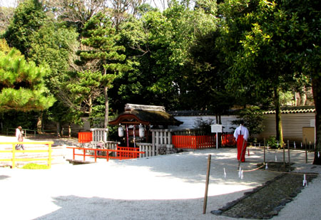 下鴨神社ー紅梅_e0048413_1802063.jpg