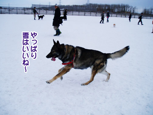 a0044521_0143337.jpg