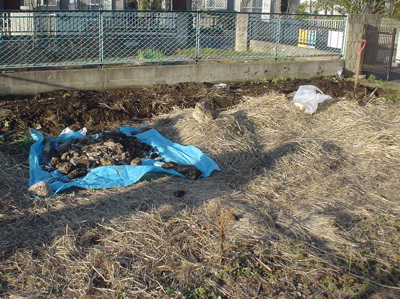 e0092221_1836196.jpg
