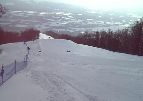 c0109828_1074934.jpg