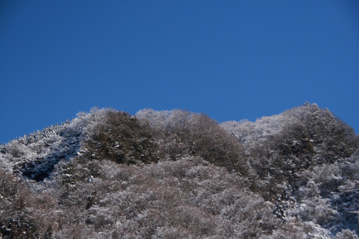 b0129829_23252649.jpg