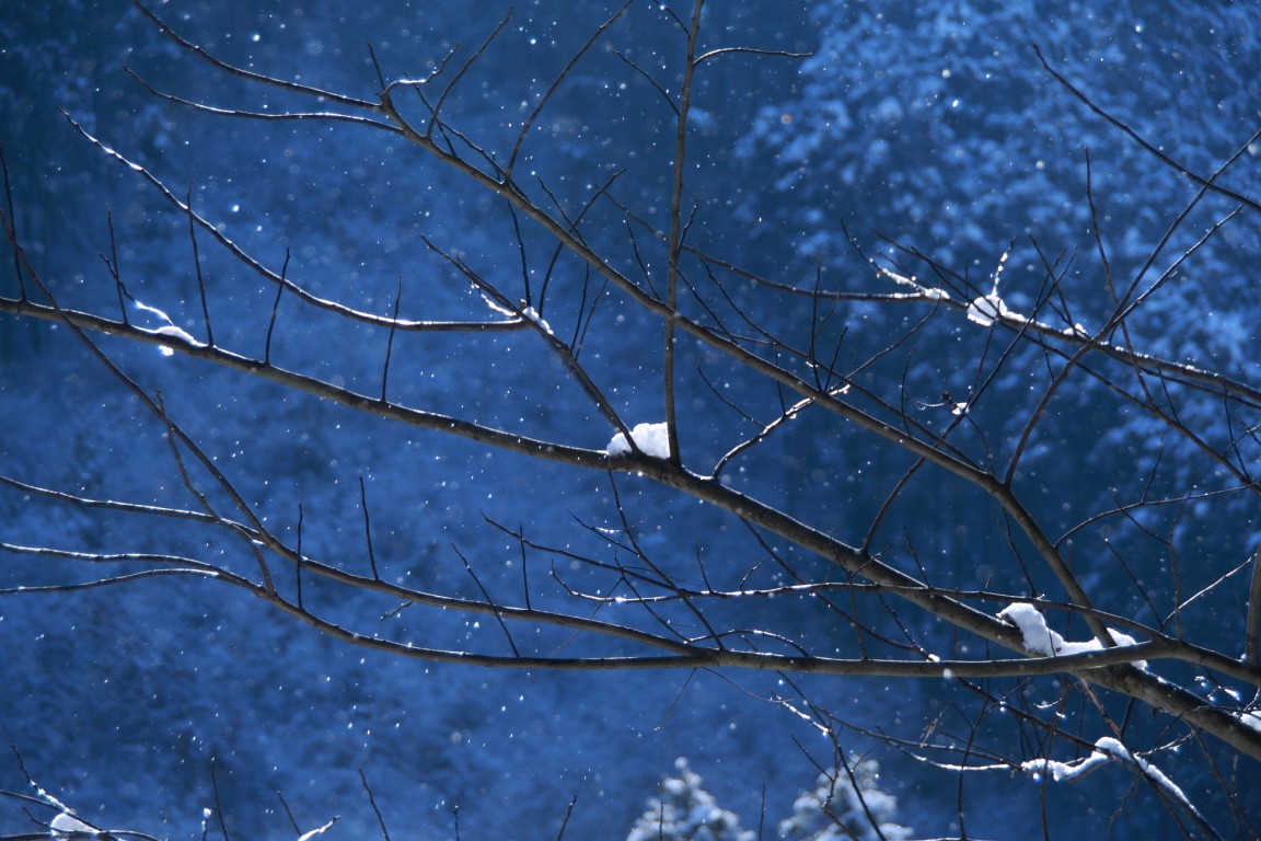 b0129829_23254825.jpg
