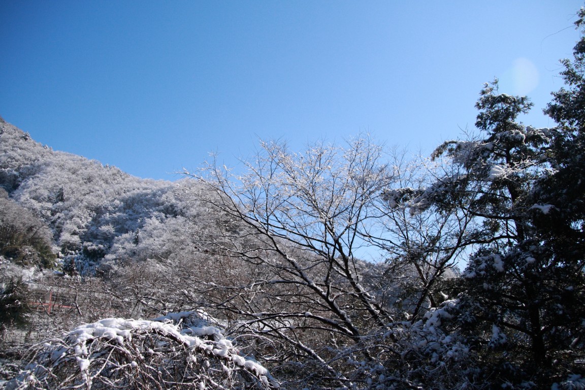b0129829_2331098.jpg