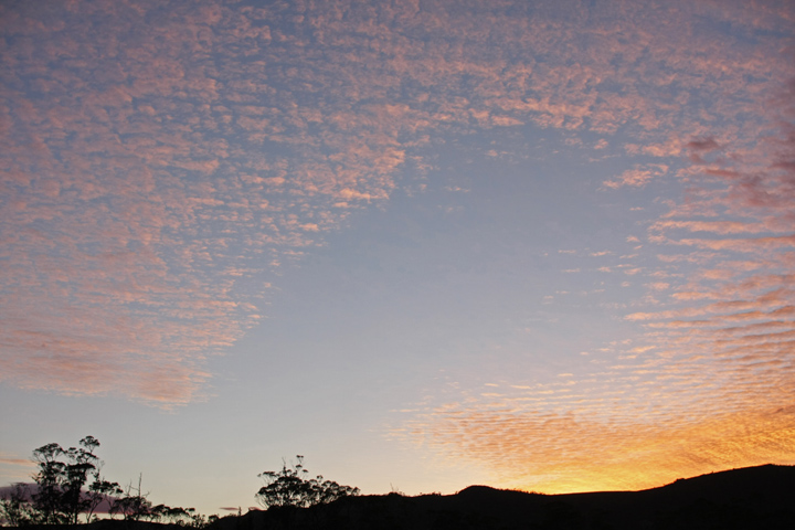 朝焼け (Cradle Mountain, Tasmania)_c0167830_23575187.jpg