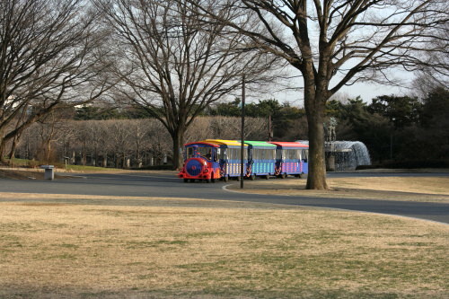 昭和記念公園は春真っ只中へ_d0038630_2102799.jpg