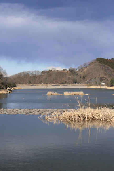 ダム湖…冬の名残りの光射す_f0017530_2154616.jpg