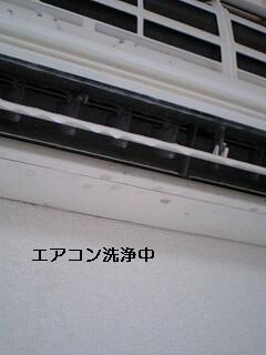 賃貸物件・ハウスクリーニング_f0031037_21153825.jpg