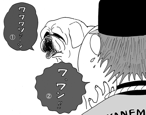 3月2日(月)　紅白戦【白5-0紅】_f0105741_541274.gif