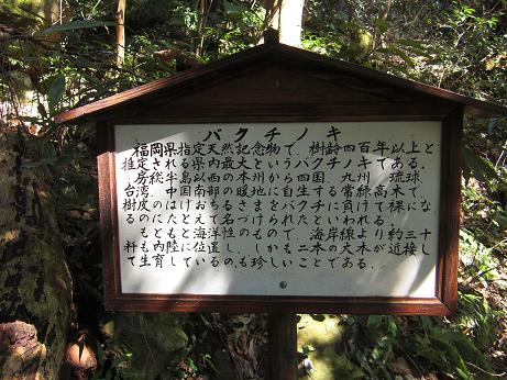 里山歩き・・・大法山~白馬山~三高山_e0164643_22474886.jpg