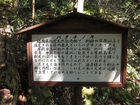 里山歩き・・・大法山～白馬山～三高山_e0164643_22474886.jpg