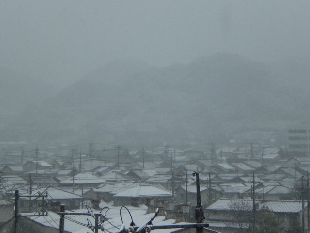 b0152548_1322871.jpg