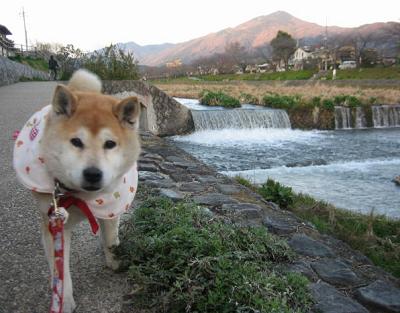 撮りたくなる気持ち_c0049950_1675435.jpg